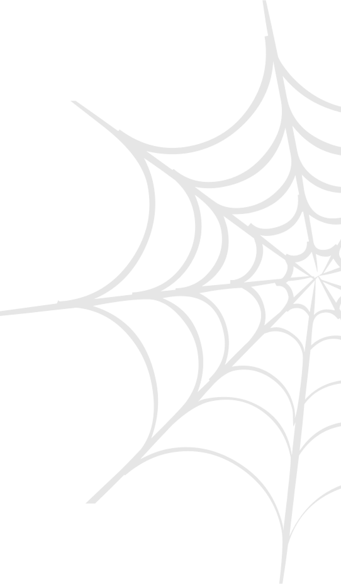 spider-web