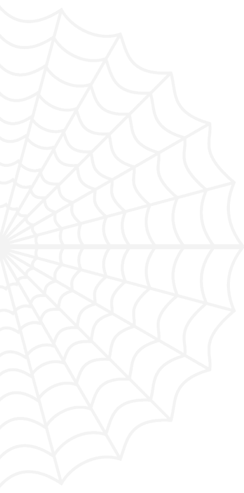 faq spider web