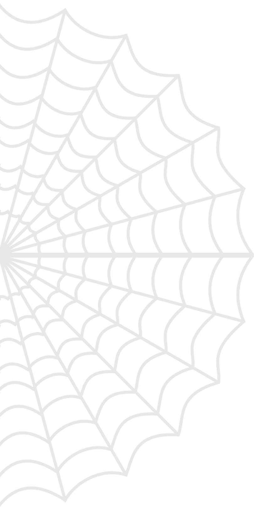spider web